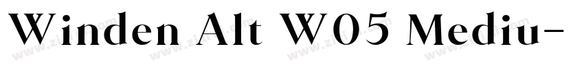 Winden Alt W05 Mediu字体转换